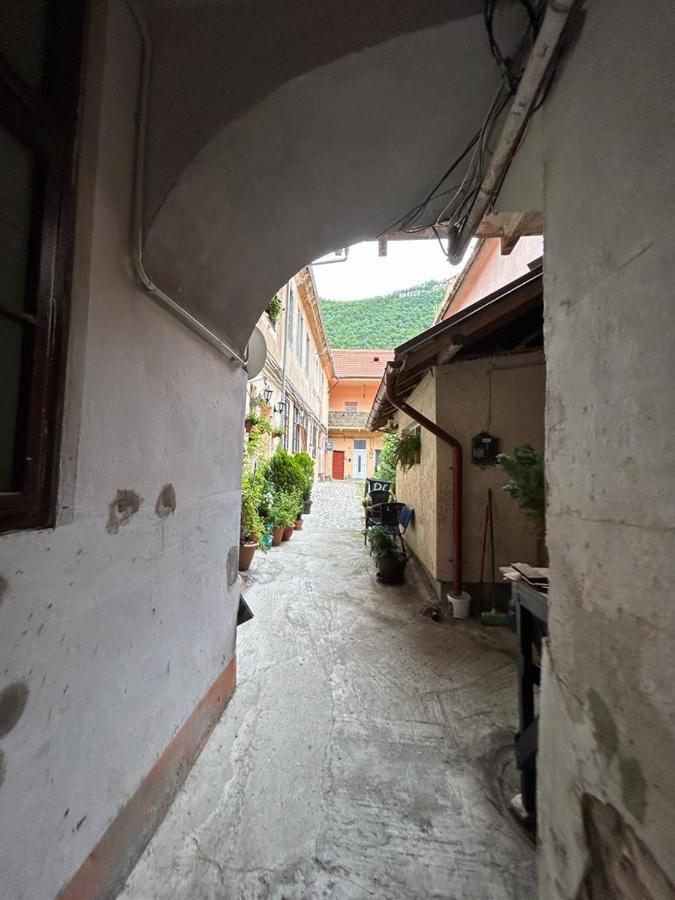 Guest House Rusu Брашов Экстерьер фото